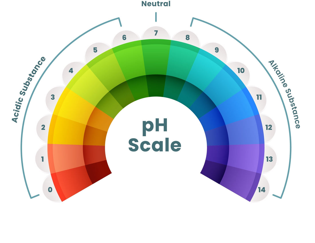 pH urinaire : comprendre son rôle dans l'équilibre acido-basique