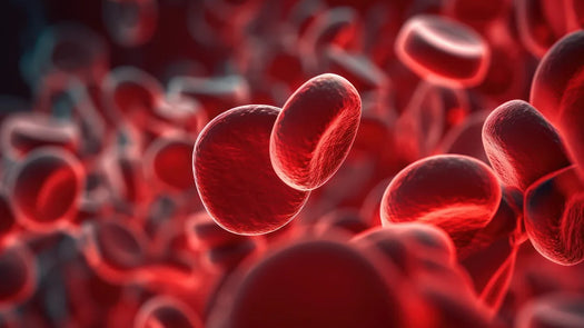 Understanding the Presence of Red Blood Cells in the Urine: Causes, Risks and Prevention