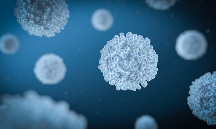 Leucocytes et Activité Physique : Comprendre leur Rôle et Comment Gérer leur Présence dans les Urines