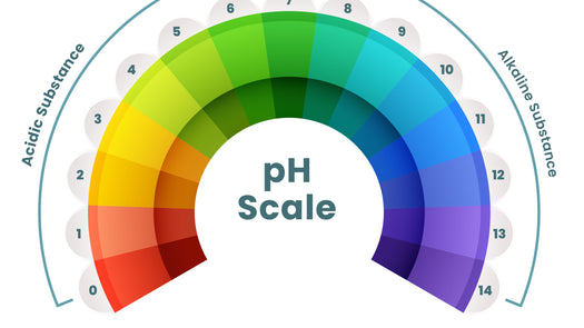 Urinary pH: understanding its role in acid-base balance