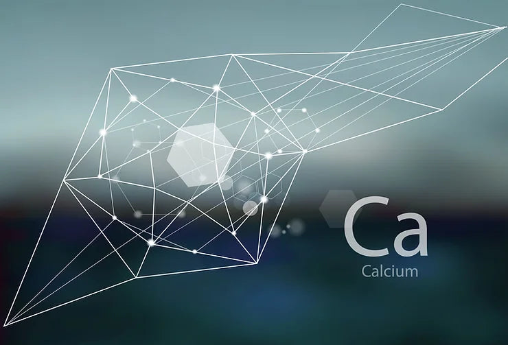 Le Calcium : Rôle essentiel, facteurs influents et conseils pour maintenir un équilibre optimal